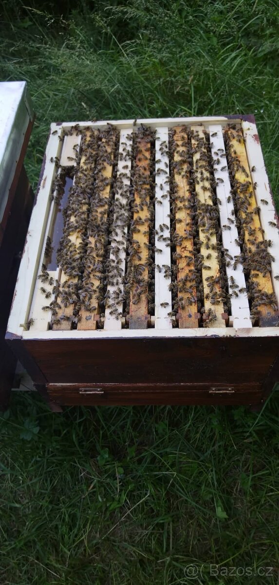 Včelí oddělky - 2