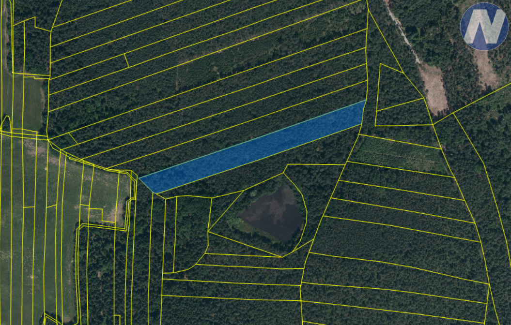Prodej lesa 13103 m², Mladošovice u Třeboně - 2
