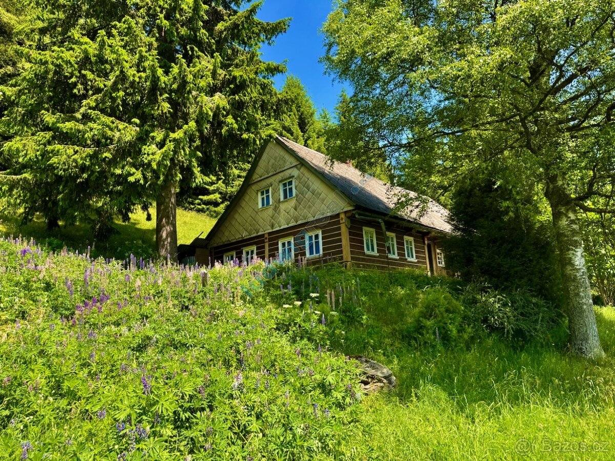 Prodej horské chalupy 258 m², poz. 11957 m², Dolní Malá Úpa - 2