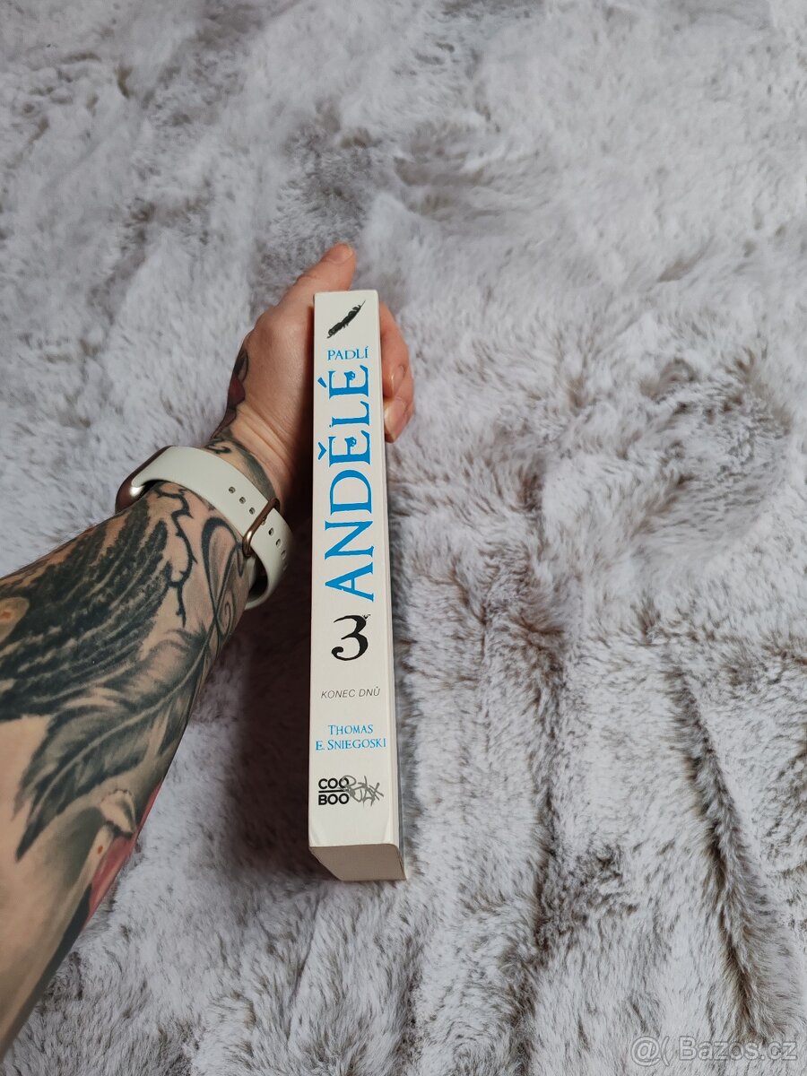 Padlí andělé 3 - 2