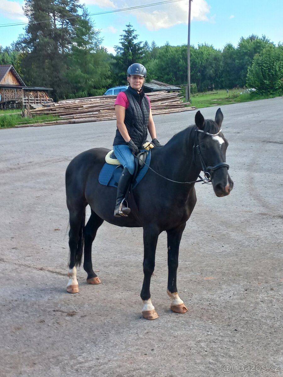 prodám - pronajmu - 2