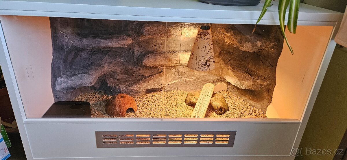 Terarium - 2