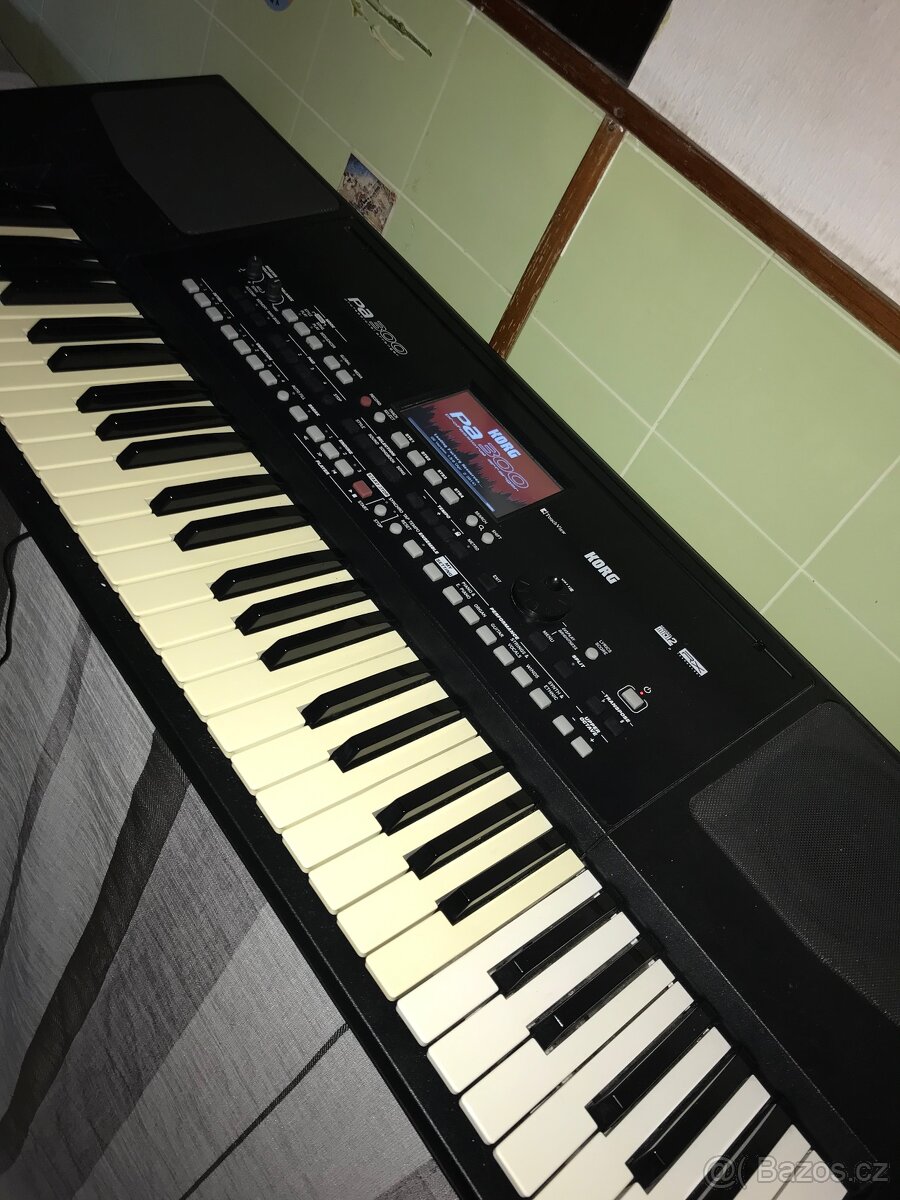 Korg pa300 - 2