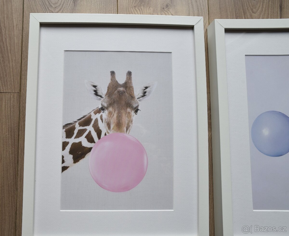 Dva obrázky v rámu Ribba Ikea - 2