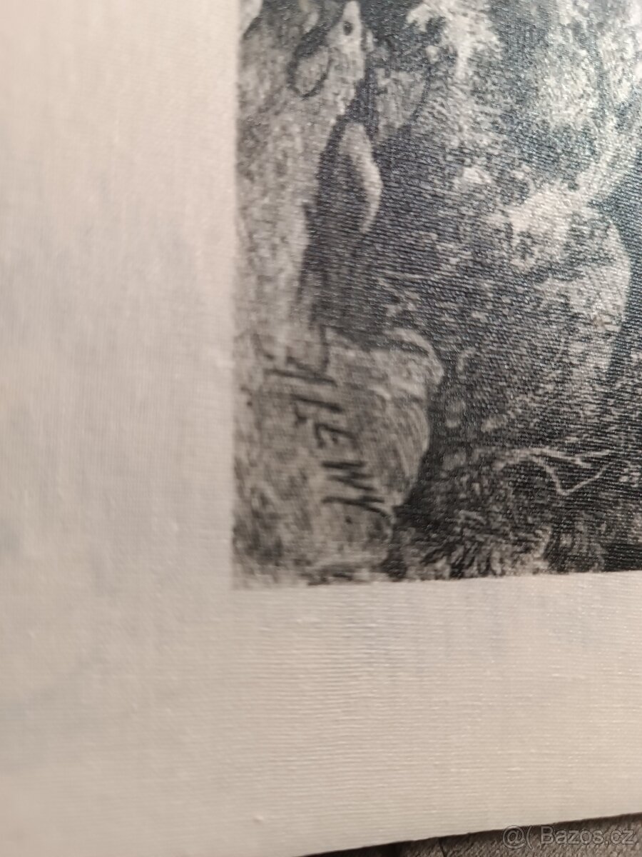 Oceloryt na plátně - 2