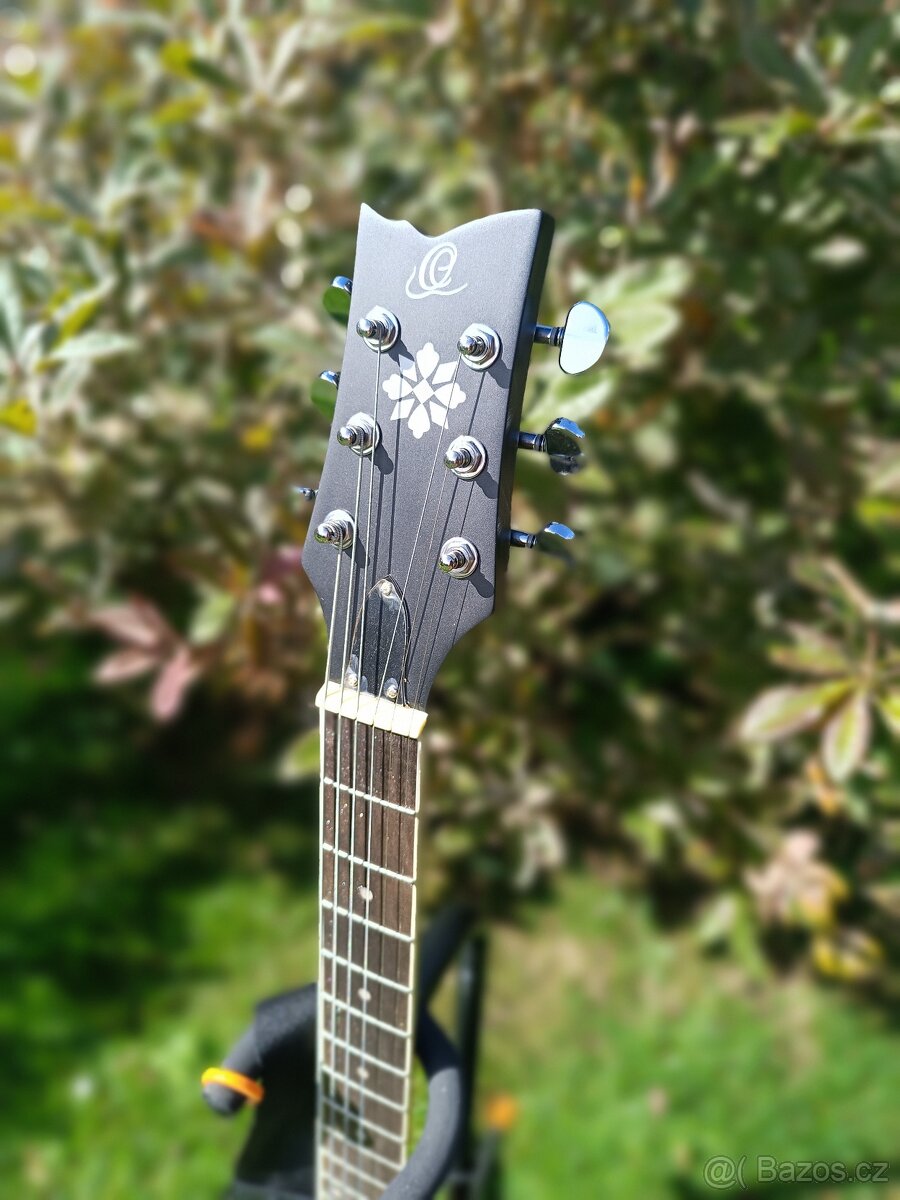 6-ti strunné banjo Ortega OBJ350/6-SBK - 2