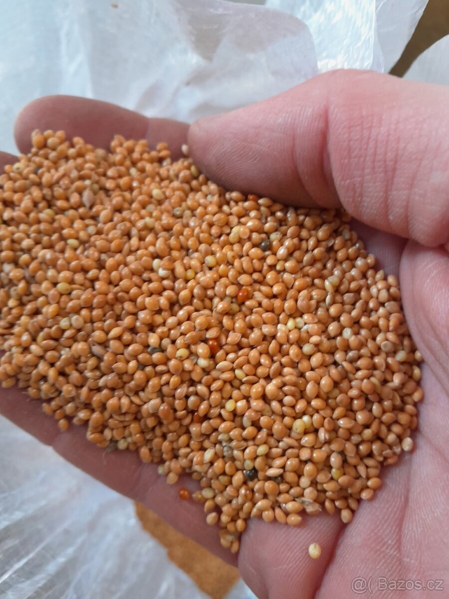 Extrudovaná sója, sojalen, pšenice, ječmen, oves, proso, má - 2