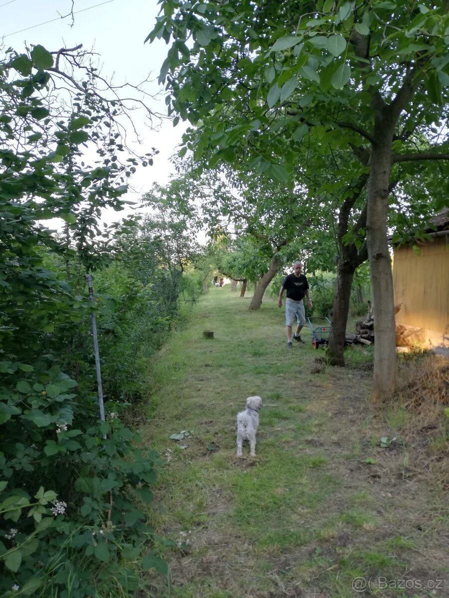 Prodej chaty s pozemkem - 2