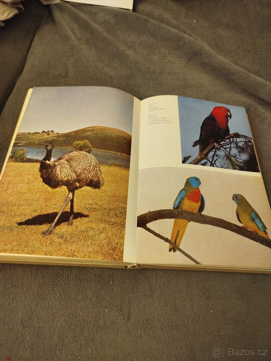 Birds Throughout thé World, Leipzig 1978 - 2
