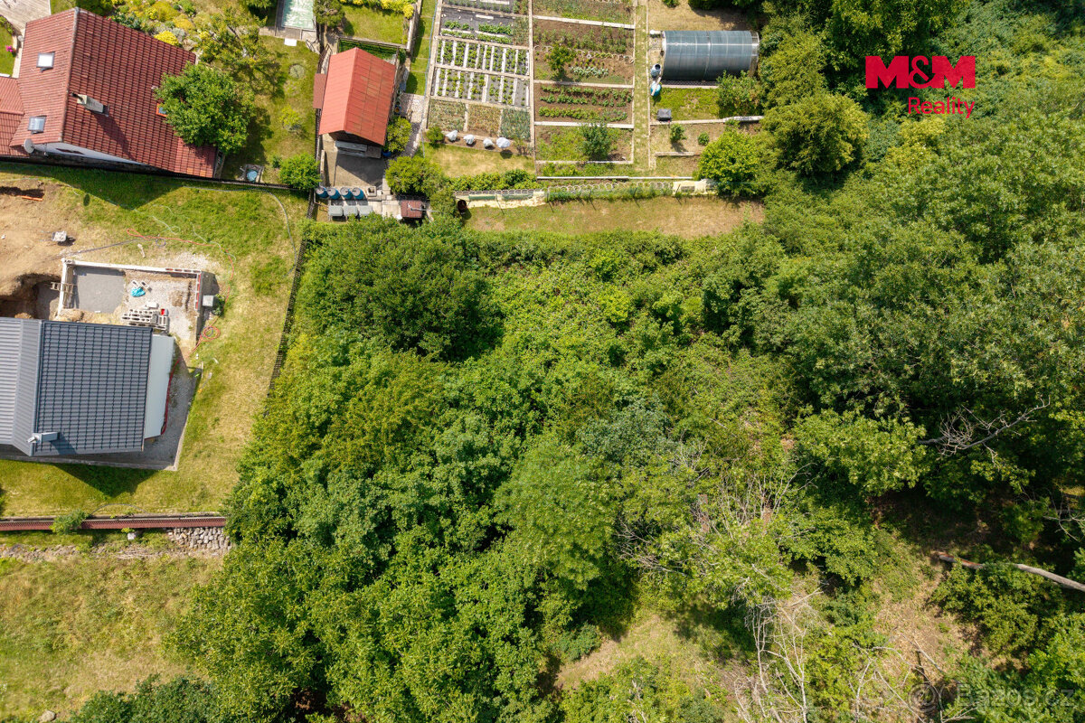 Prodej zahrady, 610 m², Ryjice - 2