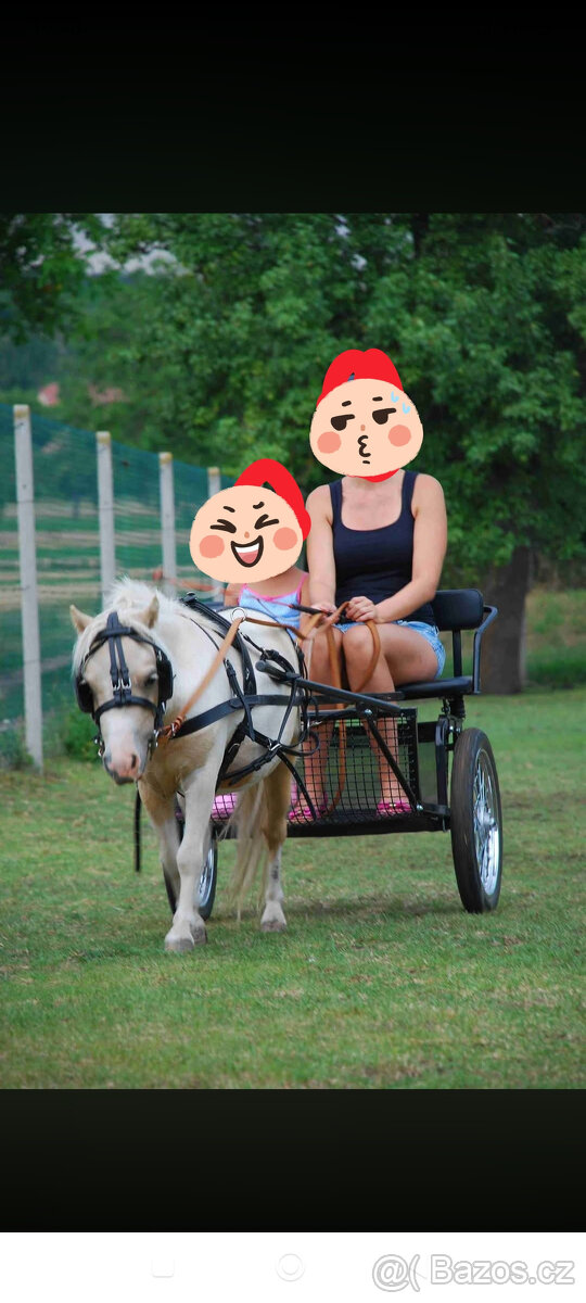 Sulka pro minipony - 2