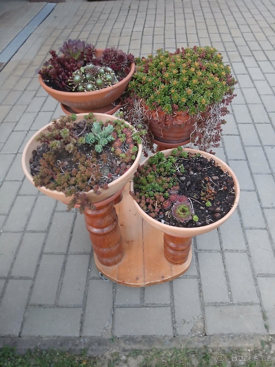 Květináč na kolečkách - 2