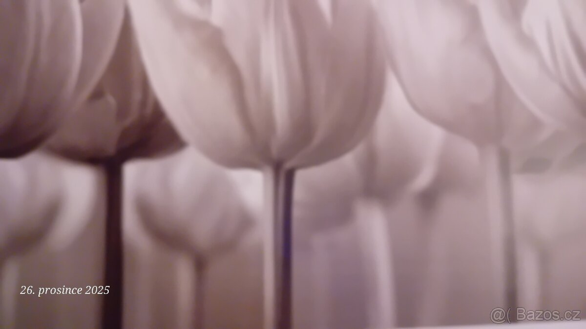 Obraz IKEA tulipany - 2