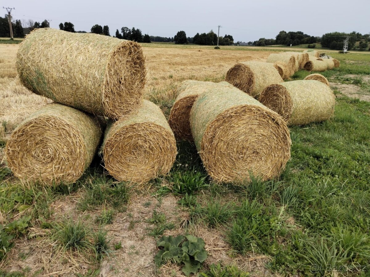 Pšeničná sláma - 2