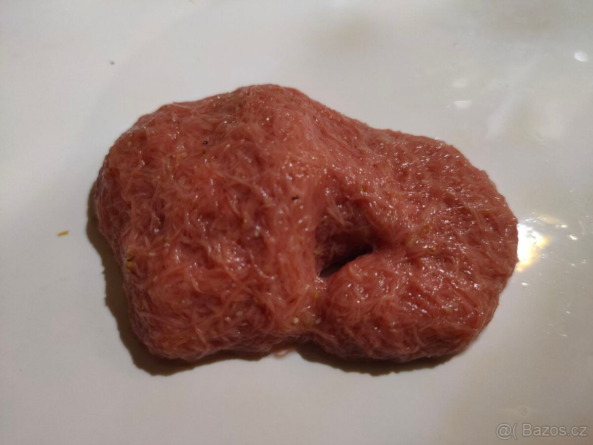 Izraelský Nítěnky – živé krmivo pro akvarijní ryby 150 g. - 2