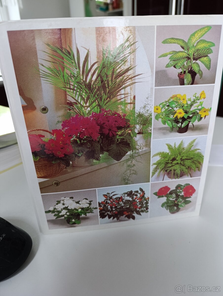 Pokojové květiny od A po Z - 2