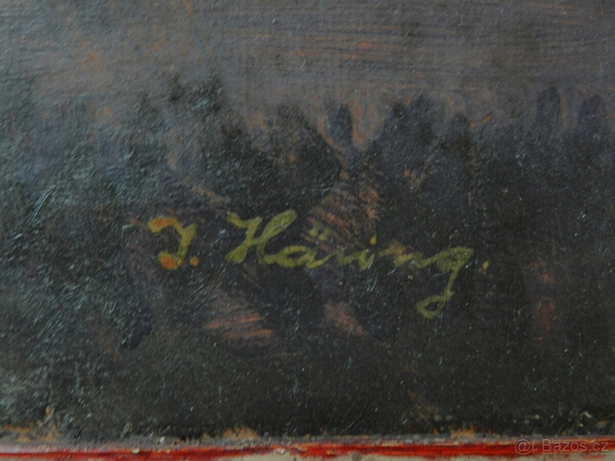 Häring (Hajný)Josef (1895-)-Pohled na pleso - 2