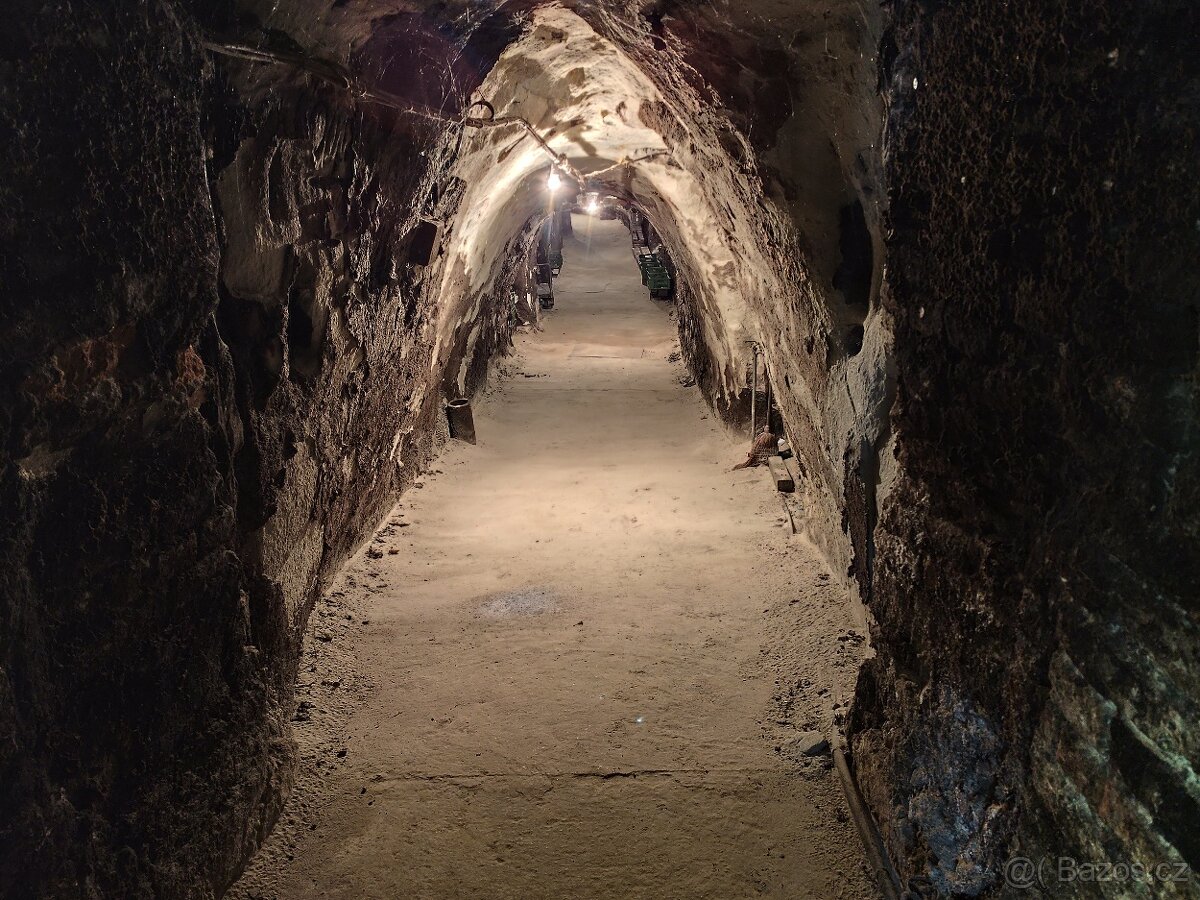 Pronájem, vinný sklep s lisovnou, Nový Šaldorf - 2