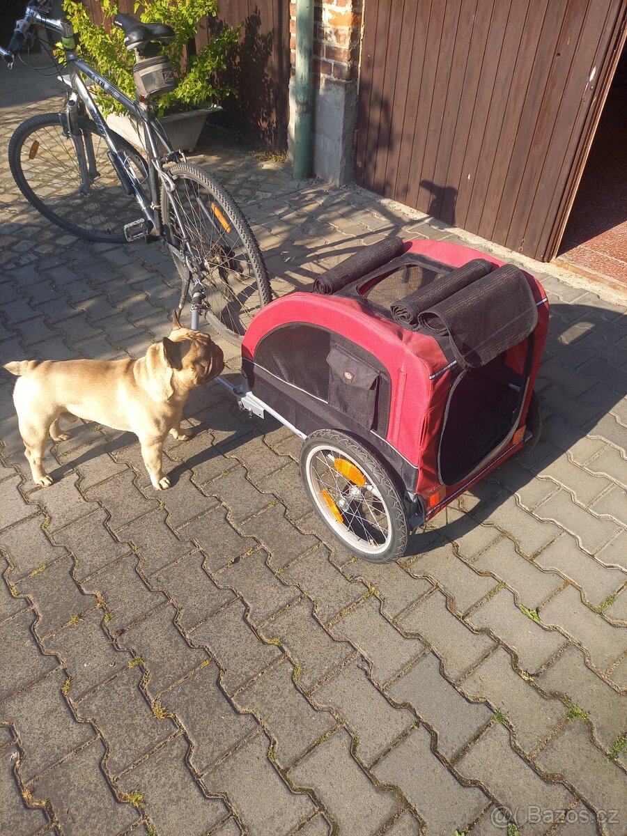Vozík pro psa - 2