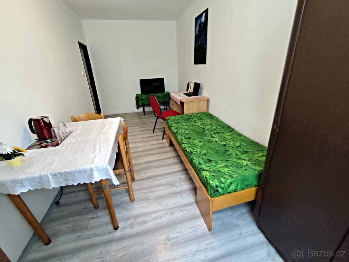 Pronájem samostatný pokoj LB-Vratislavice - 2