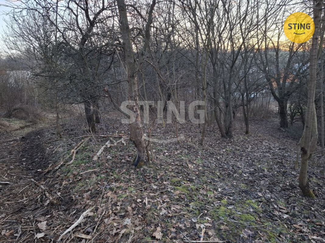 Prodej 1/4 z RD a přilehlých pozemků s lesy, 131676 - 2
