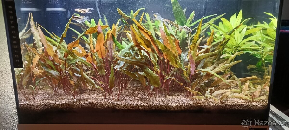 Akvárium 40 litrů - 2