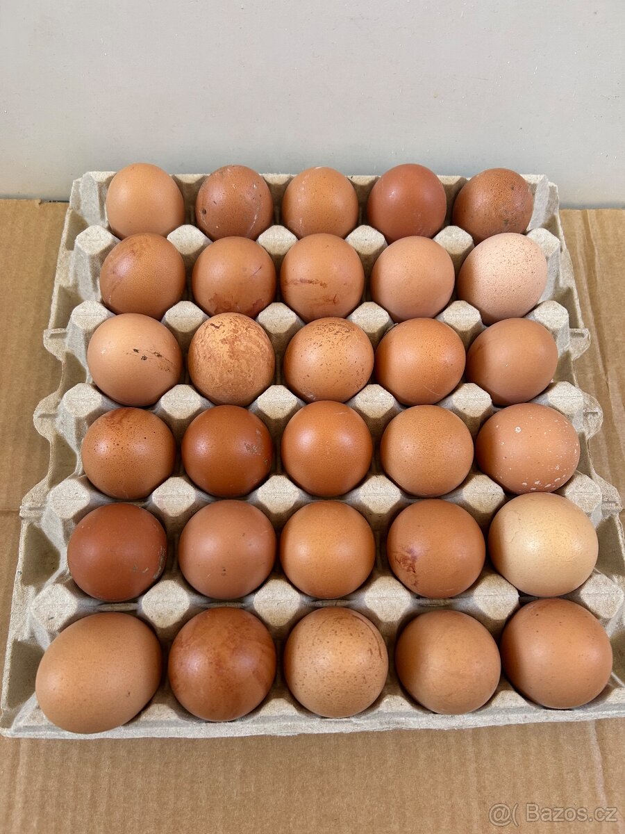 Domácí vejce 30 ks - 2