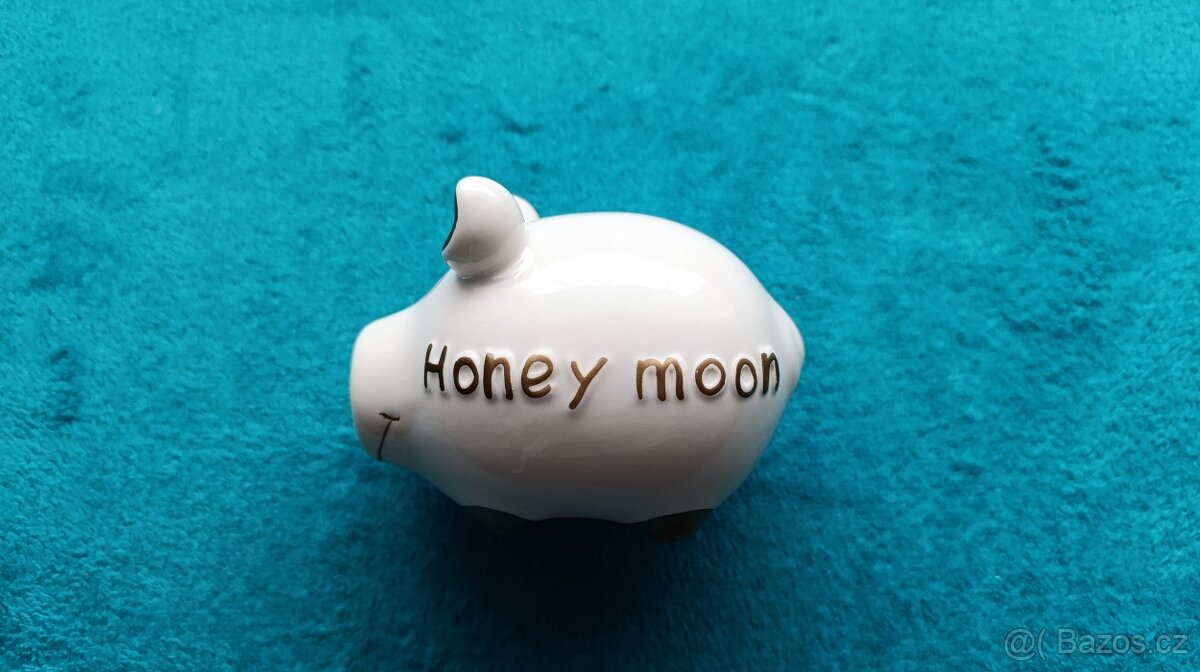 Pokladnička prasátko - 2