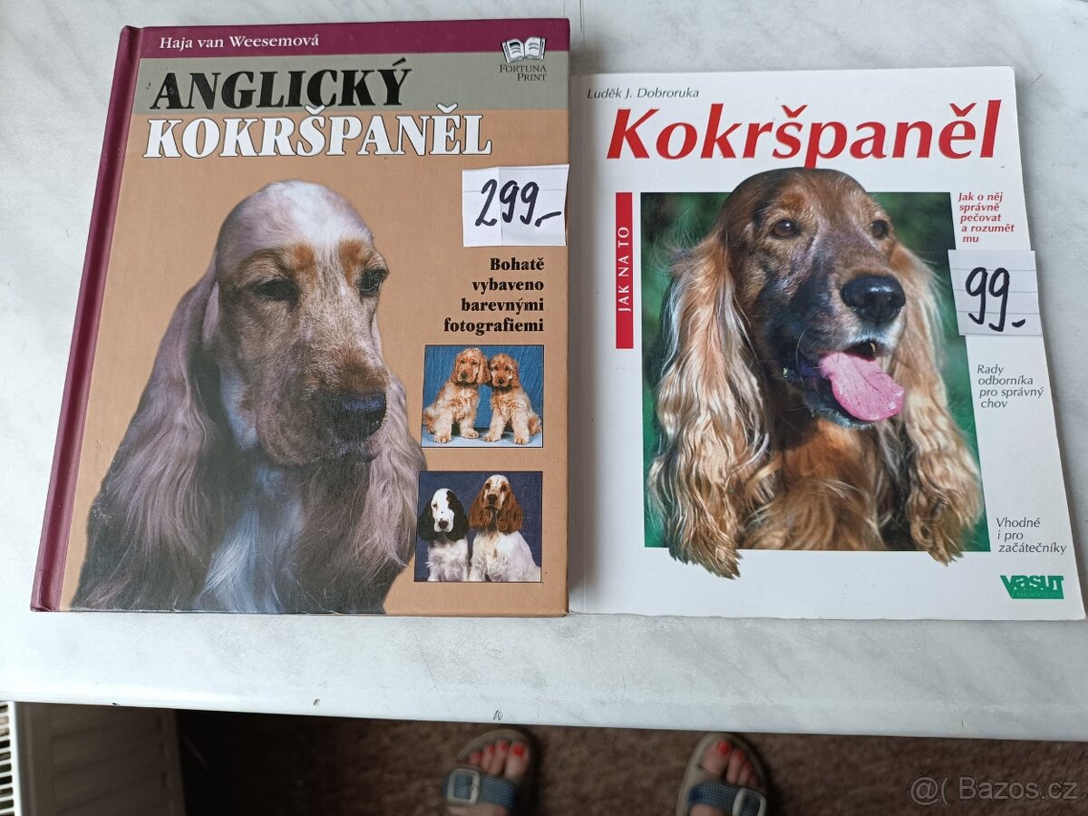 Kokršpaněl Briard Dalmatin irský setr český terier - 2