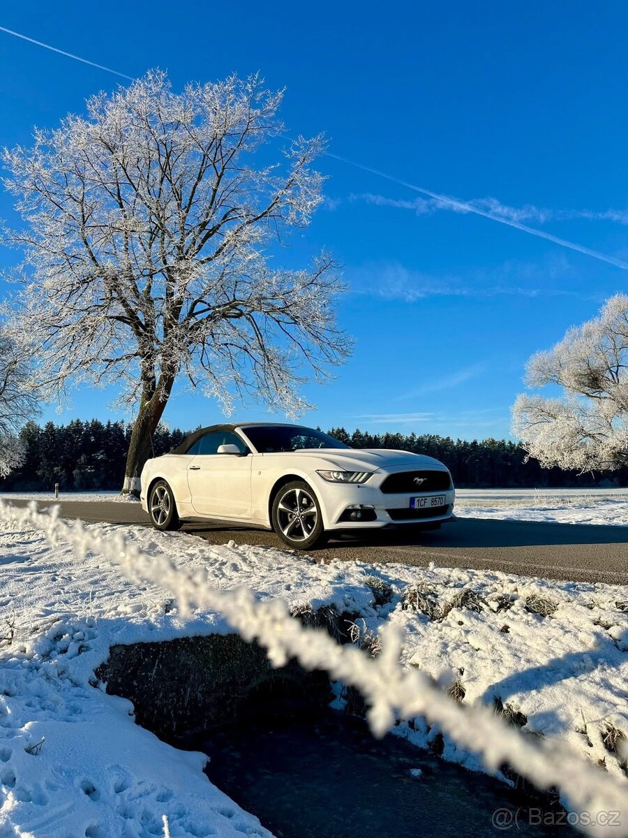 Ford mustang convertible 3.7 V6 - 2
