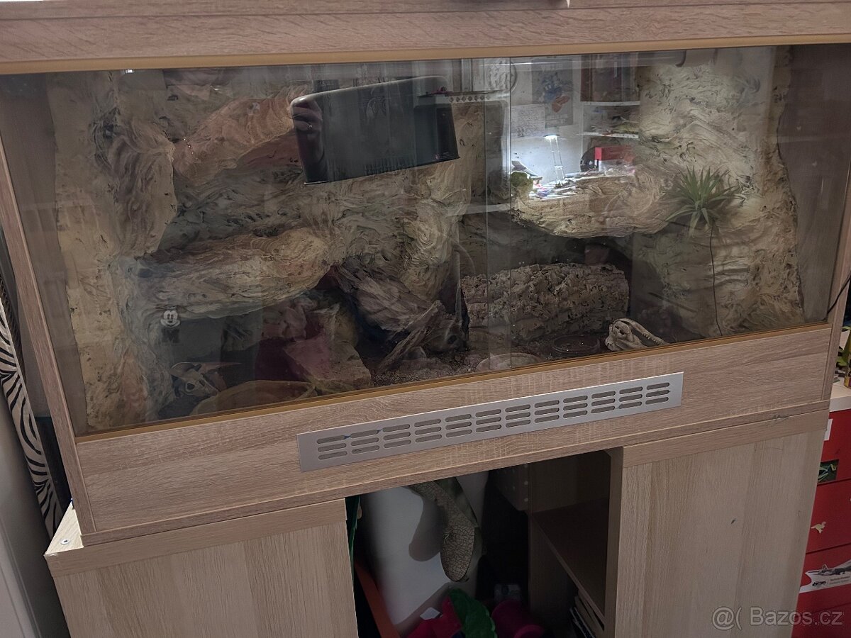 Terárium agama vousatá - 2