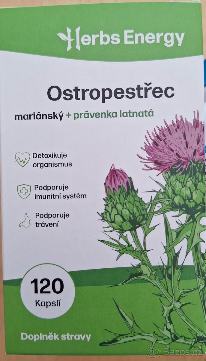 Ostropestřec - 2
