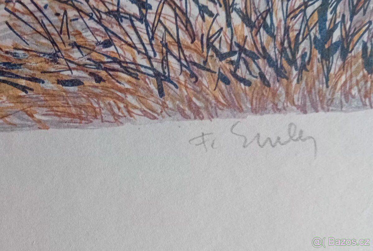 Grafika František Emler 7 - 2
