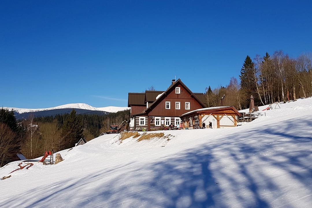 Servírka, číšník, práce na baru a v hospůdce - 2