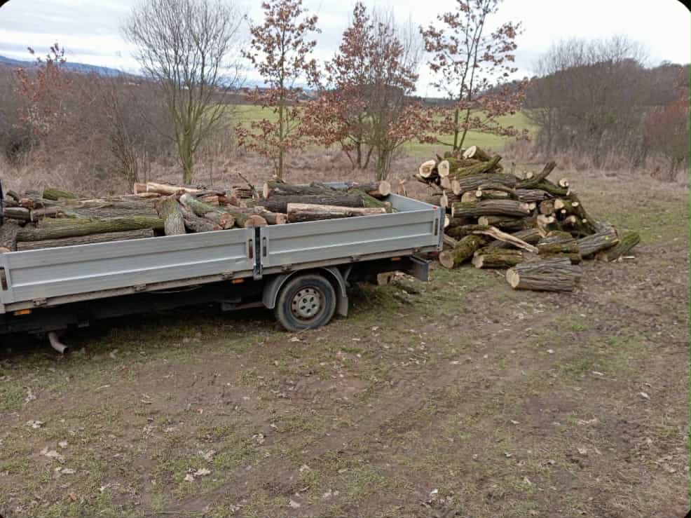 Prodám dřevo - 2