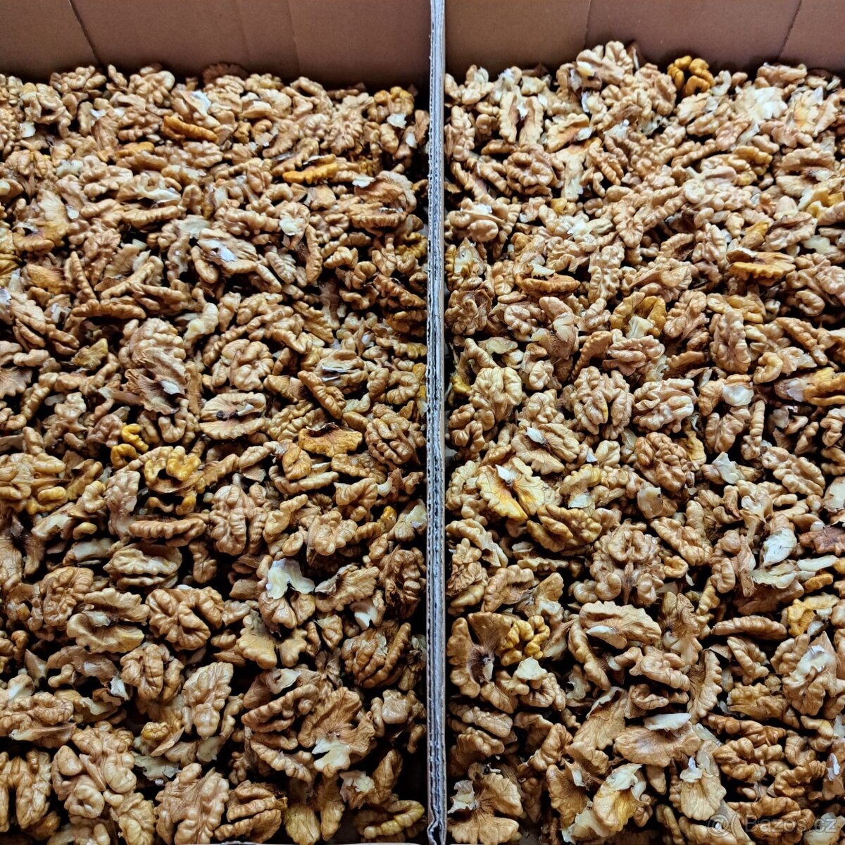 Vyloupané vlašské ořechy - 2