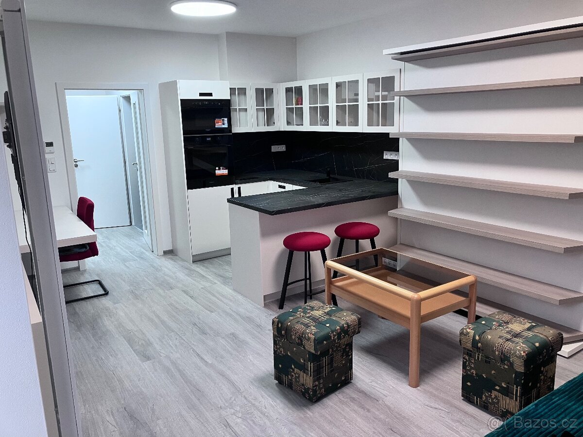 Dlouhodobý pronájem bytu 1+KK v novostavbě - 2