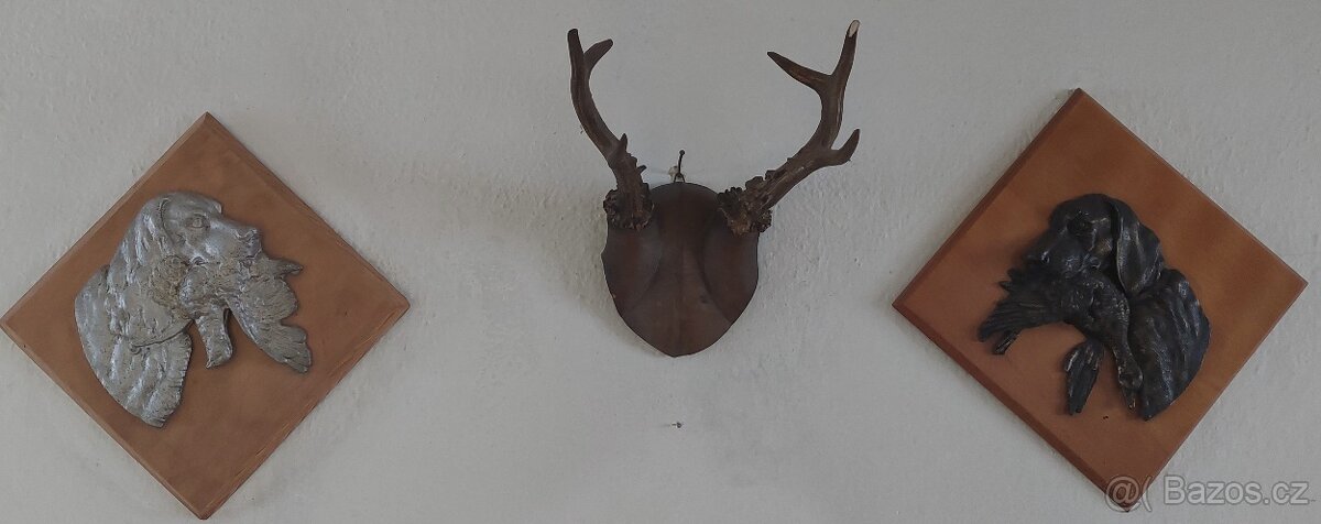 Parohy a paroží, bažant - 2