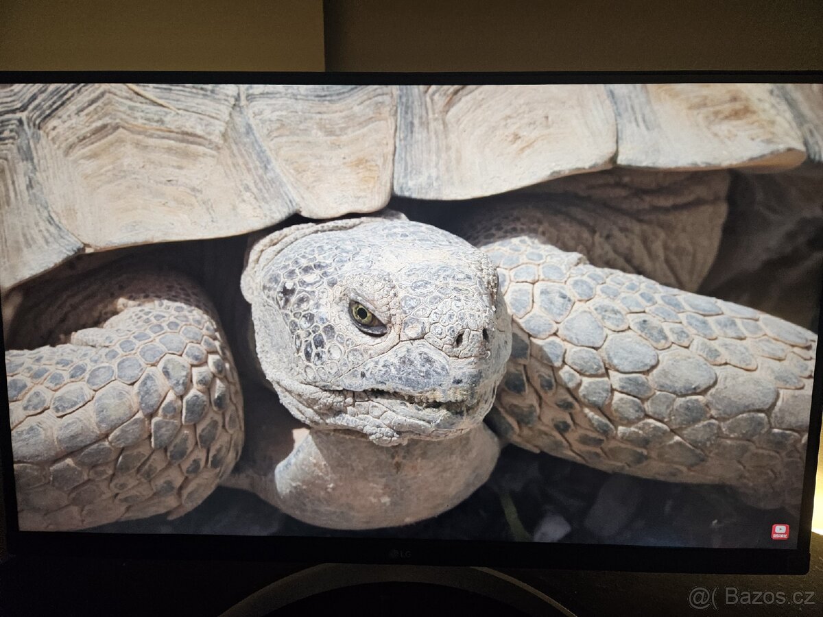 Monitor LG 4k 60hz - 2