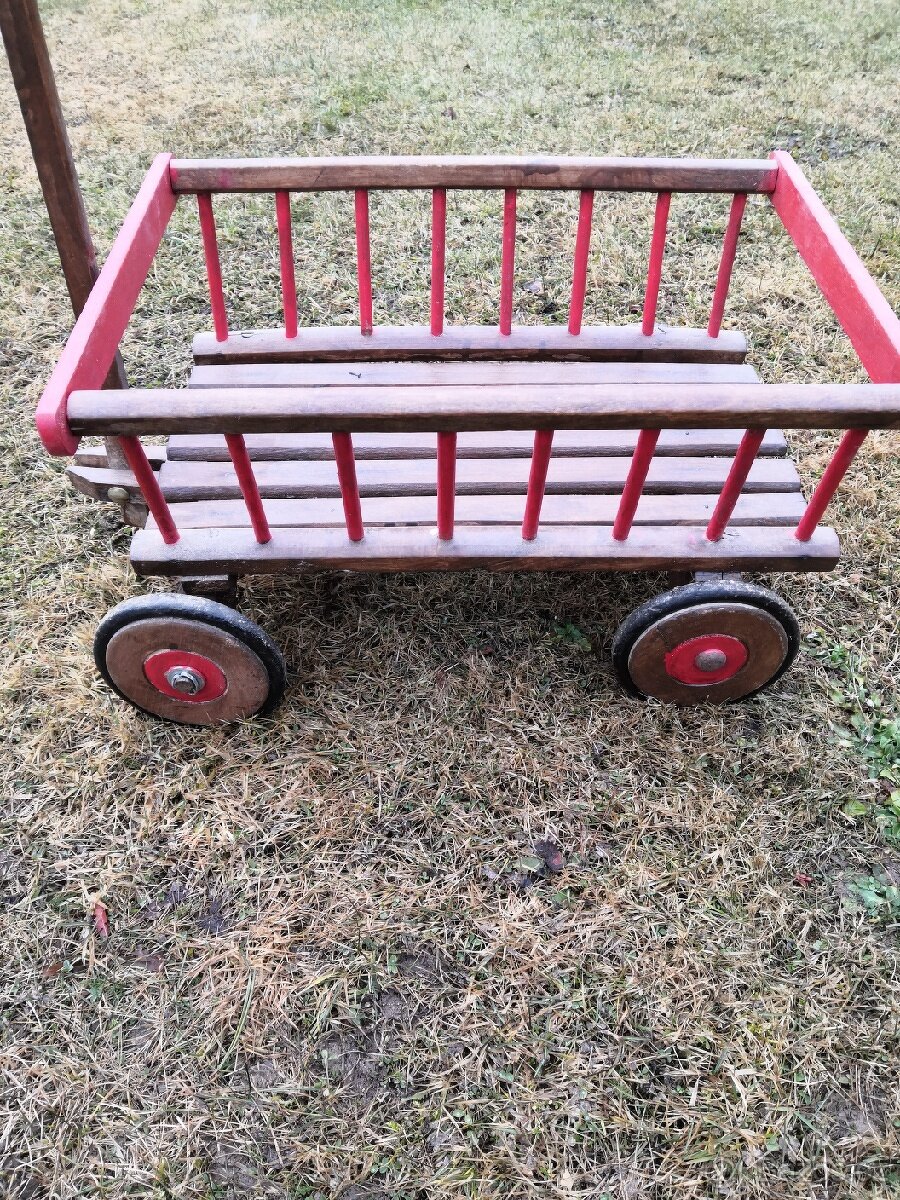 Dětský žebřiňák - 2