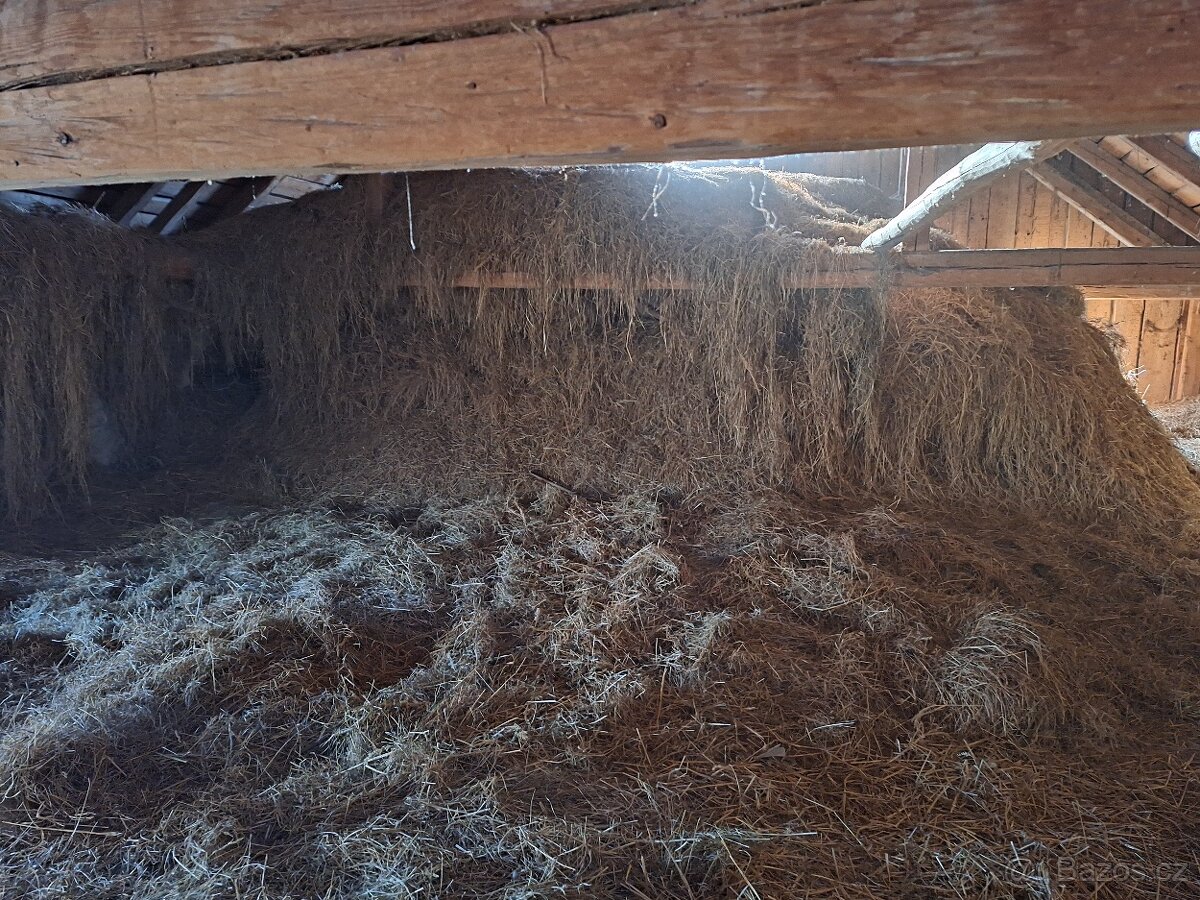 Daruji seno za odvoz - 2