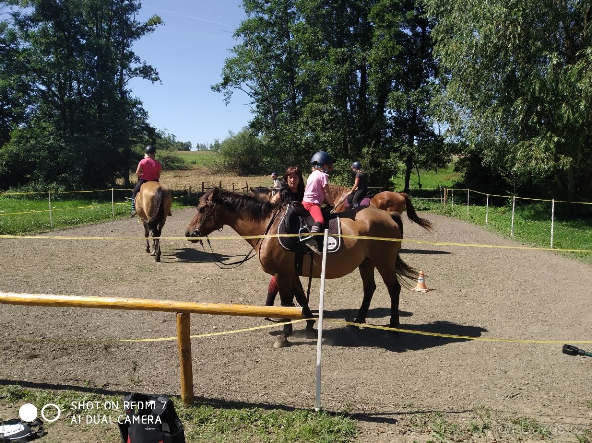 VYJÍŽĎKY NA KONÍCH - 2