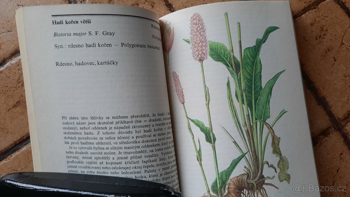 Zelená lékárna- Rubcov,Beneš - 2