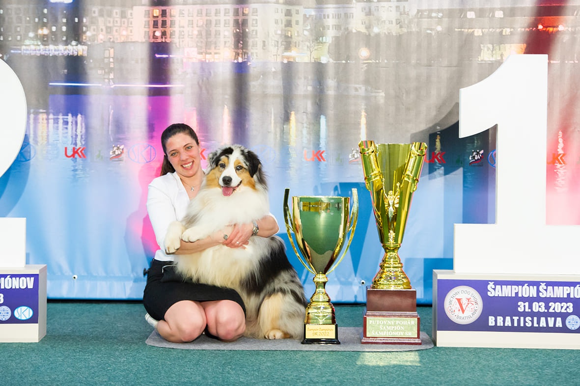 Australský ovčák s PP štěňata - 2