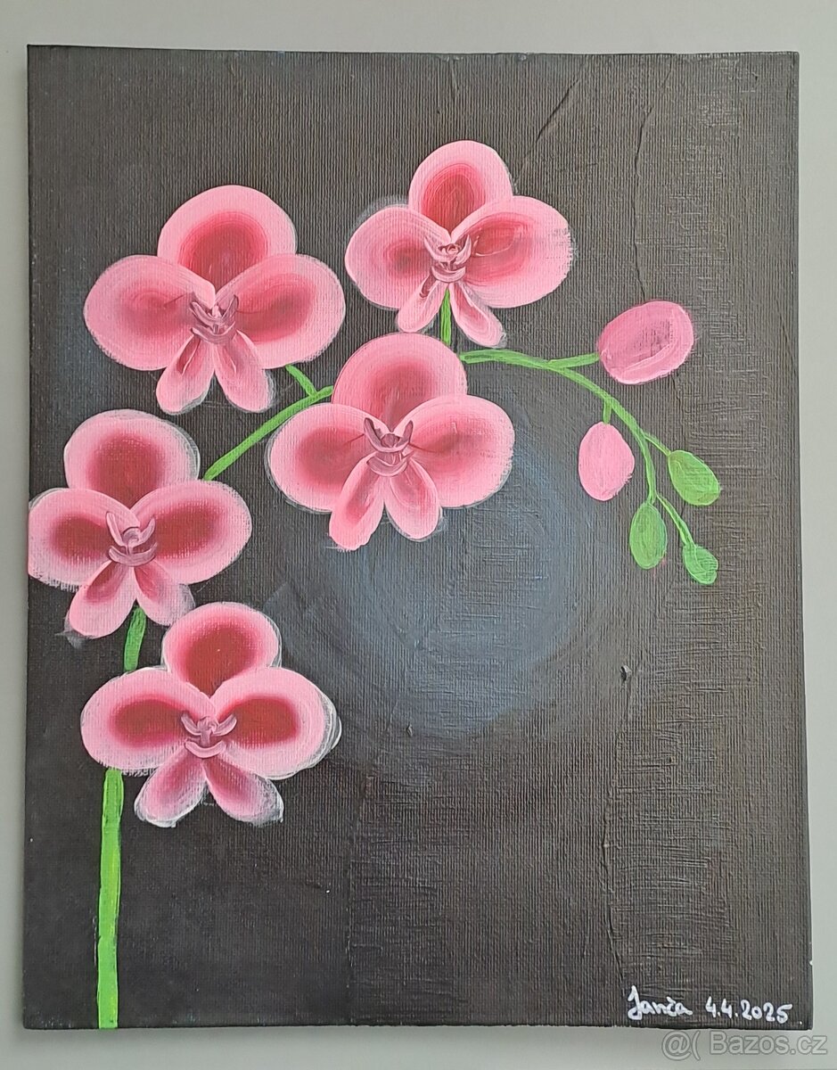 Obraz orchidej - 2