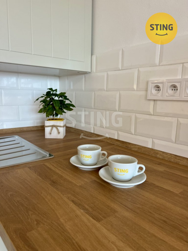 Pronájem zrekonstruovaného bytu 1+kk, ul. Francouzsk, 134087 - 2