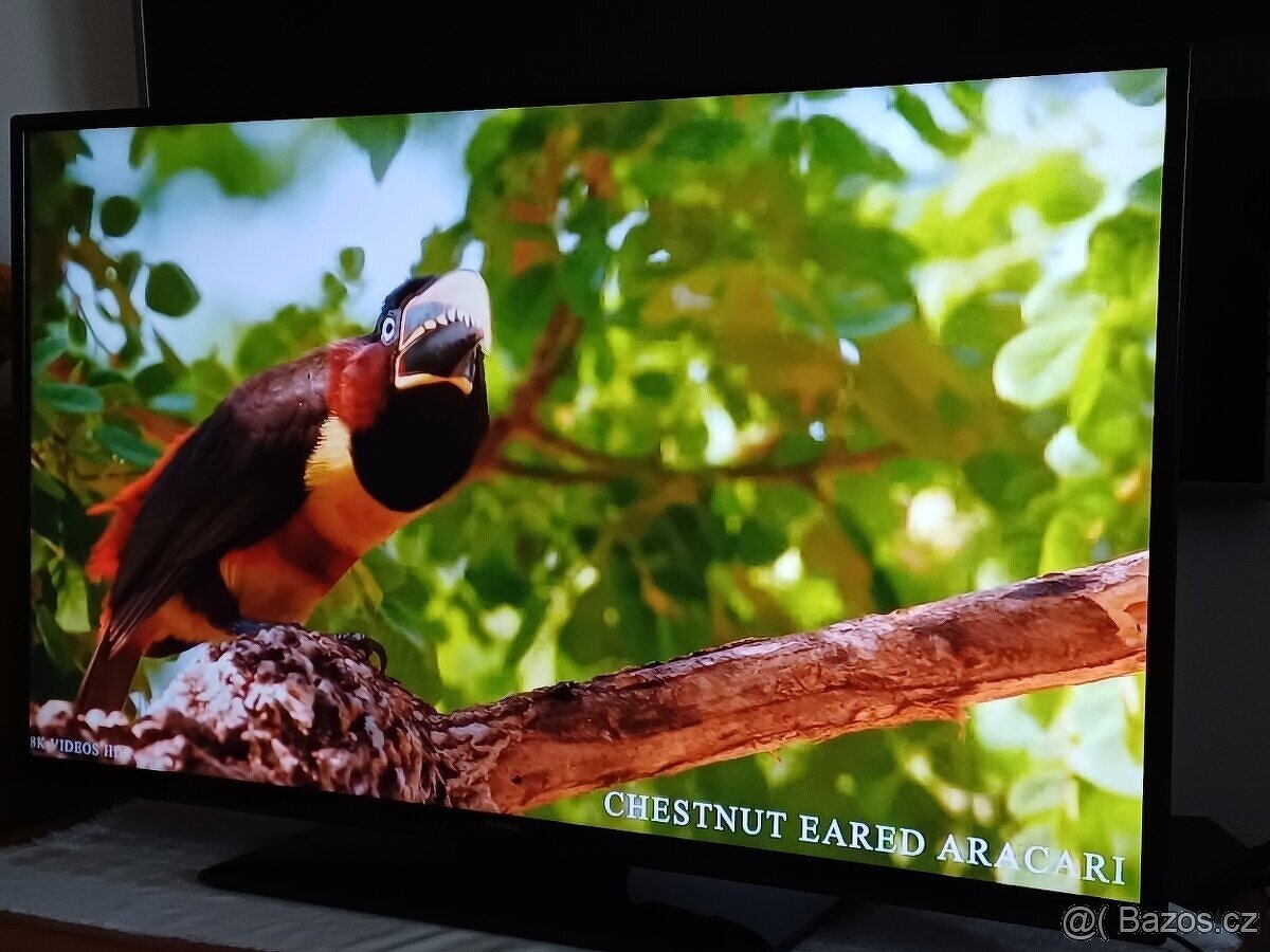 Smart TV 43"(109cm) - DVB-T2, Wi-Fi - - 2