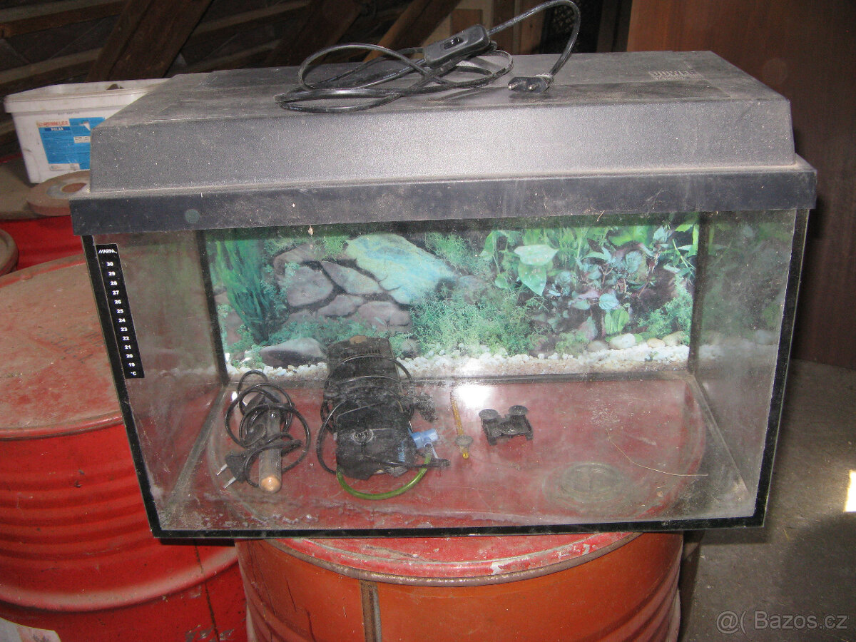starší akvarium - 2