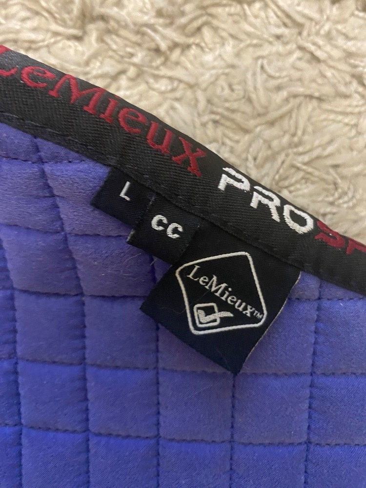 Deky, Lemieux podsedlovka, martingal, kamaše - 2