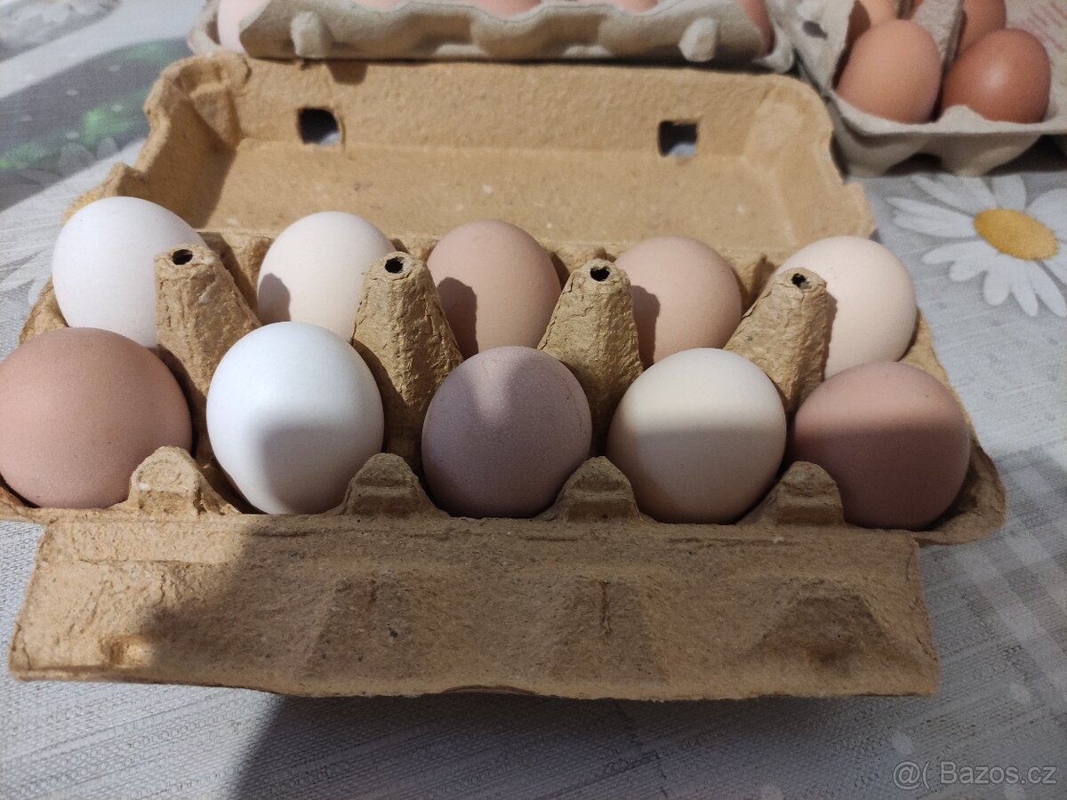 Domácí vajíčka - 2